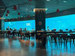 -涛·海底餐厅·美人鱼·自助餐·海底隧道(三亚海棠湾洲际度假酒店)