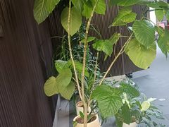 -阿伟海鲜楼·福建菜(涵江店)