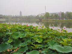 -西海子公园