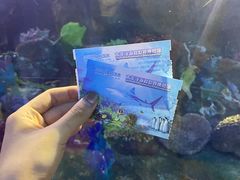 -太平洋海底世界