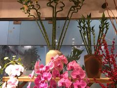 -双季花艺园艺市场(浦东店)