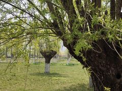 -汉长安城未央宫国家考古遗址公园