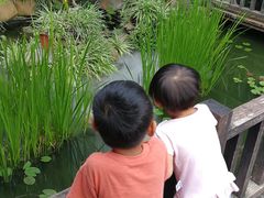 -凤凰山斑鱼馆(恭城店)