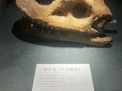 -大连自然博物馆