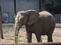 -鄂尔多斯野生动物园