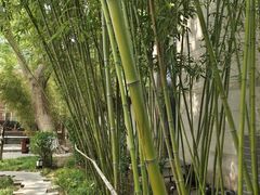 -春晖园度假酒店温泉