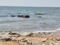 -老虎石海上公园