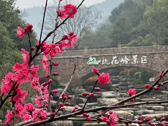-桃花岭景区