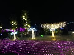 -琅岐红光湖公园