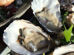 -12 Rocks Beach Bar Cafe