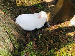 -都江堰普照寺