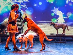 -安徒生童话乐园