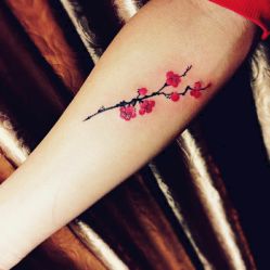 -明星刺青·洗纹身