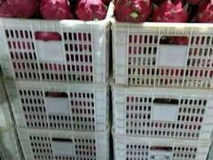 -三亚新鸿港水果一级批发市场