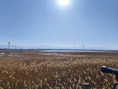 -野鸭湖国家湿地公园