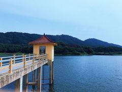 -青龙山国家森林公园