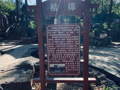 -灵溪风景区
