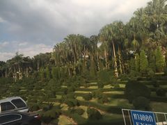-东芭乐园
