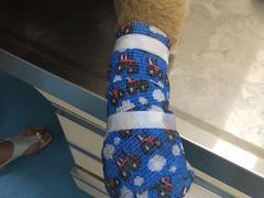 -仁华宠物医院(青羊店)