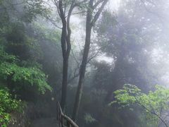 -东天目山风景区