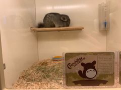 -龙猫仔乐园(惠福东路店)