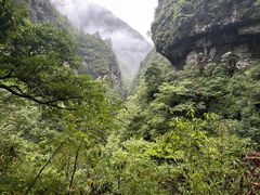 -鹿院坪生态旅游景区