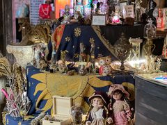 -雪灵魔法世界SHELLY’S TAROT(大良桂畔里店)