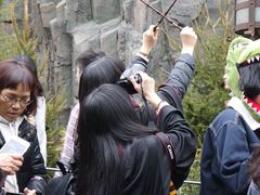 -哈利波特魔法世界