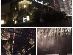 柏悦酒店-上海柏悦酒店