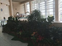-合肥火车站(地铁站)