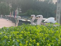 -仁和公园(顺义区)