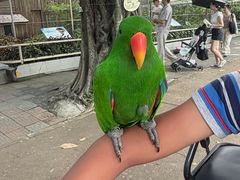 -深圳野生动物园