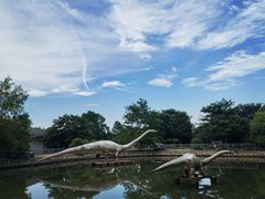 -上海海湾国家森林公园