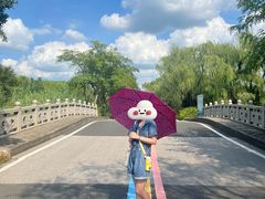 -同里国家湿地公园