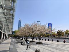 -苏州金鸡湖文博诺富特酒店