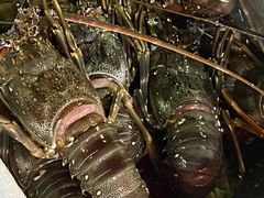 -新农都水产市场