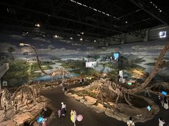 -自贡恐龙博物馆