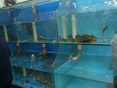 -东极岛海鲜