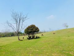 -良渚古城遗址公园