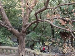 -上海佘山国家森林公园西佘山园