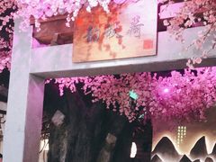 -韵秋荷(宝山龙湖天街店)