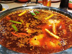 -蜀滋香鲜鱼美蛙火锅(339店)