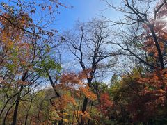 -玉渡山自然风景区