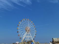 -奉贤海滩