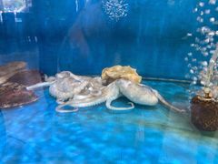 -顶之鲜海鲜餐厅
