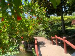 -嘉定紫藤园