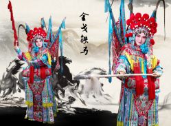 -胭脂猫京剧摄影