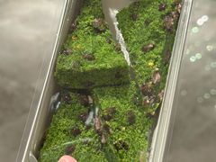 -重八牛府之小有名气(大望路店)
