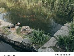 -海淀公园