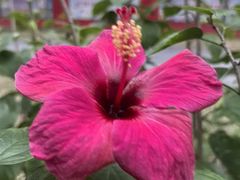 -北海市海滨公园